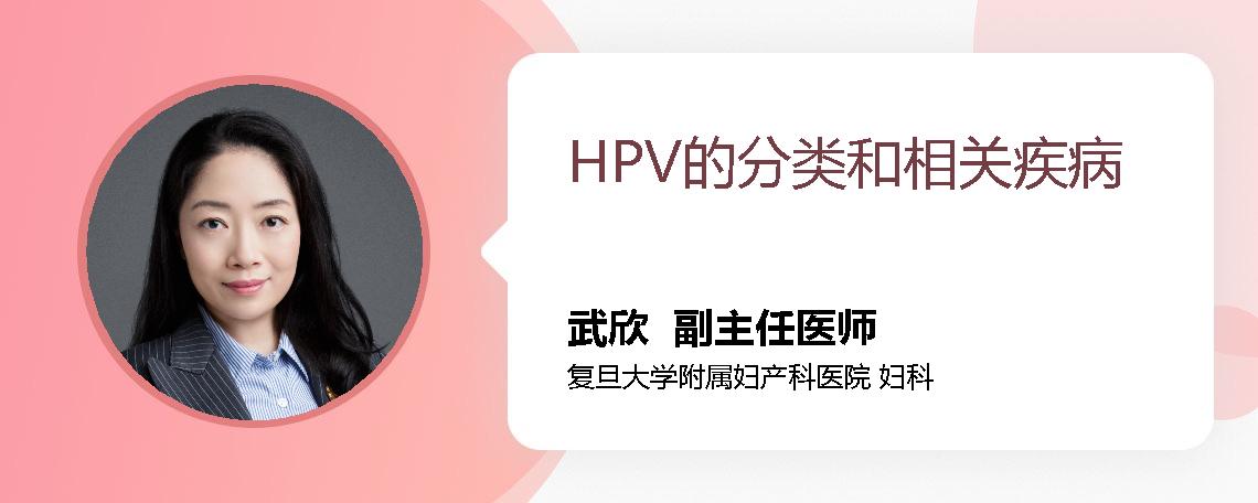 HPV的分类和相关疾病