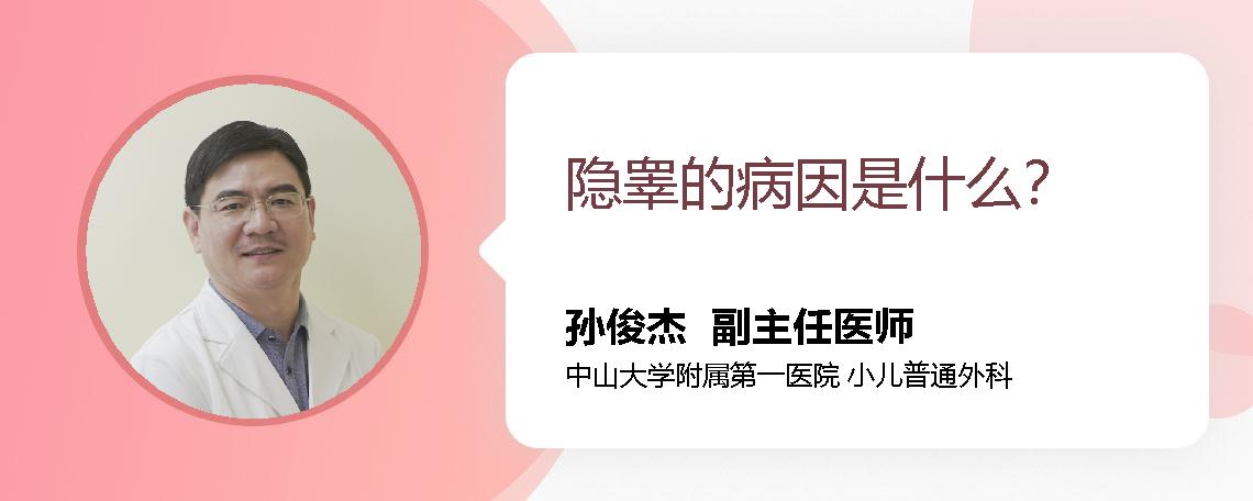 隐睾的病因是什么？