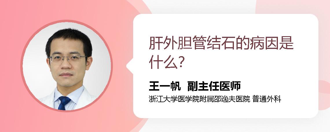 肝外胆管结石的病因是什么？