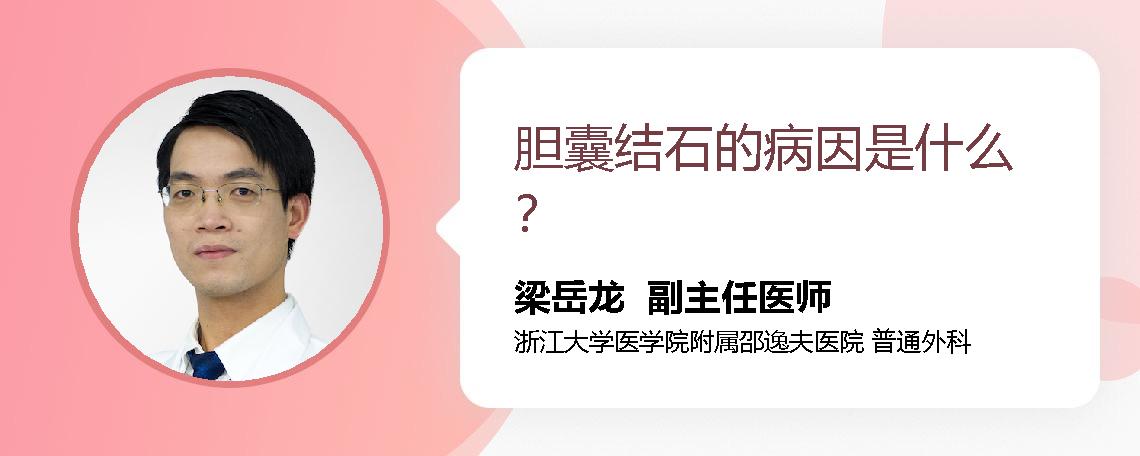 胆囊结石的病因是什么？