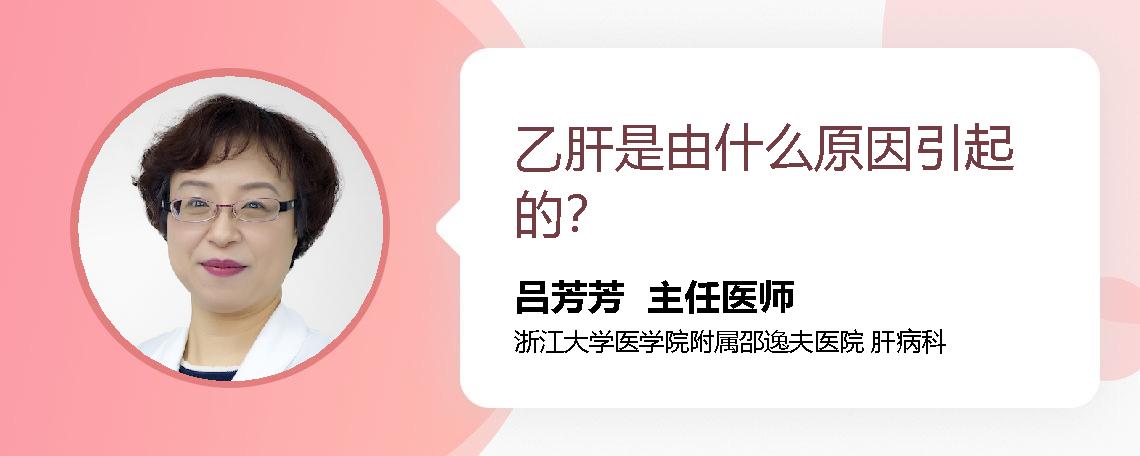 乙肝是由什么原因引起的？