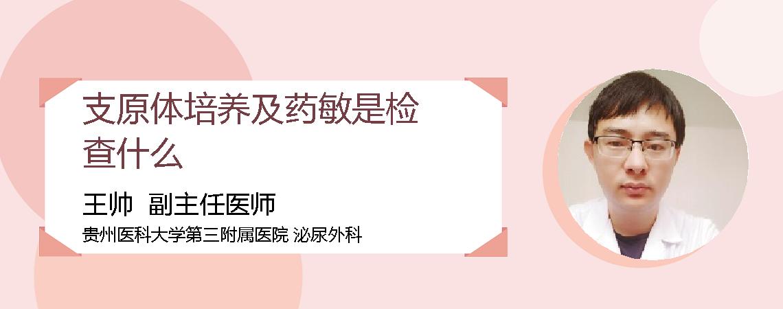 支原体培养及药敏是检查什么