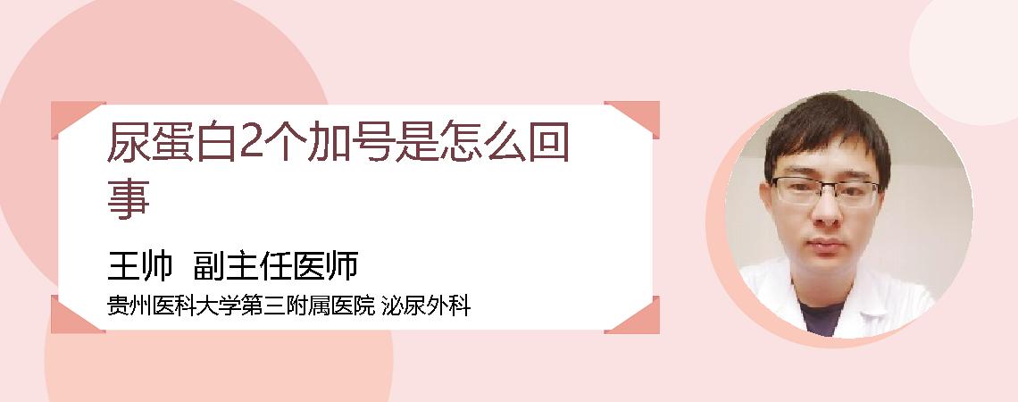 尿蛋白2个加号是怎么回事