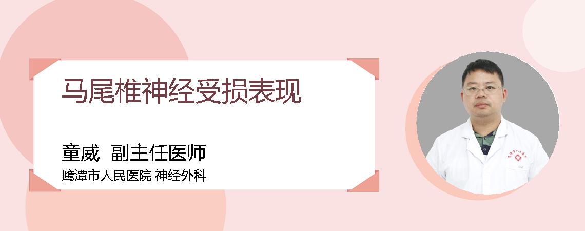 马尾椎神经受损表现