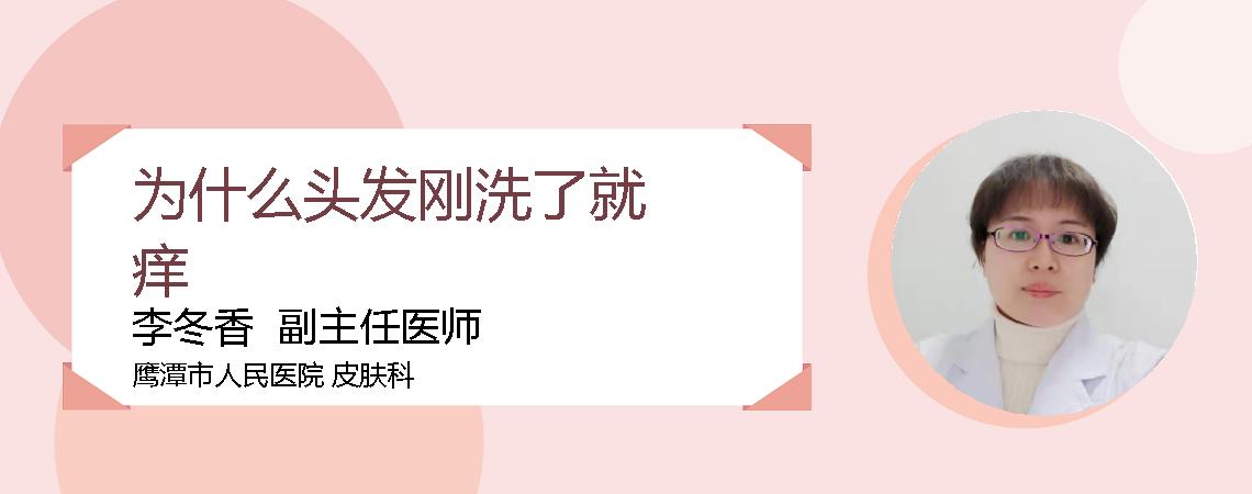 为什么头发刚洗了就痒