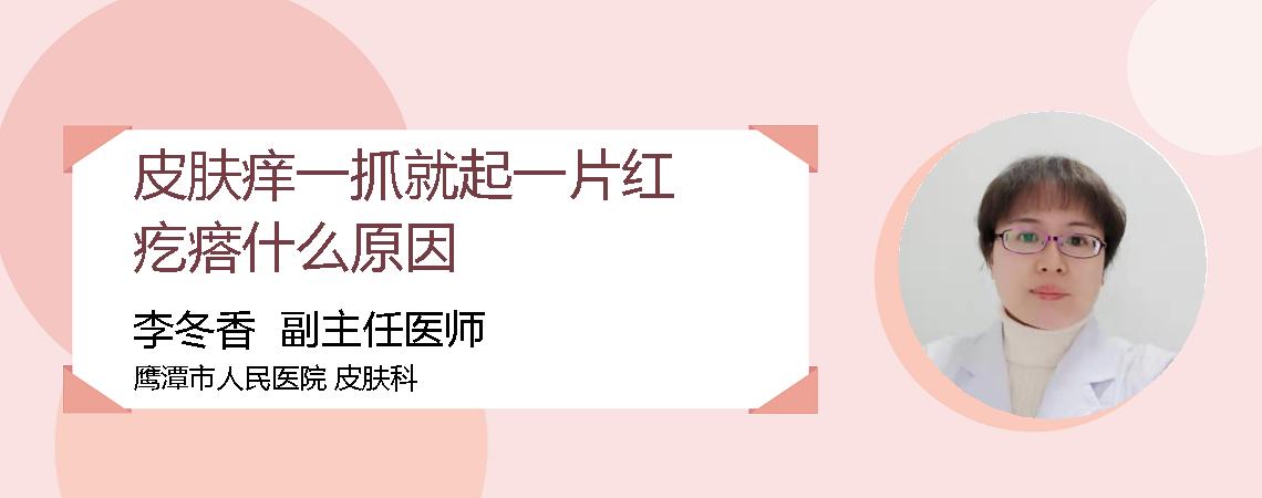 皮肤痒一抓就起一片红疙瘩什么原因