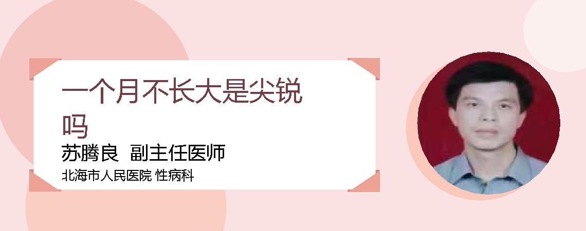 一个月不长大是尖锐吗