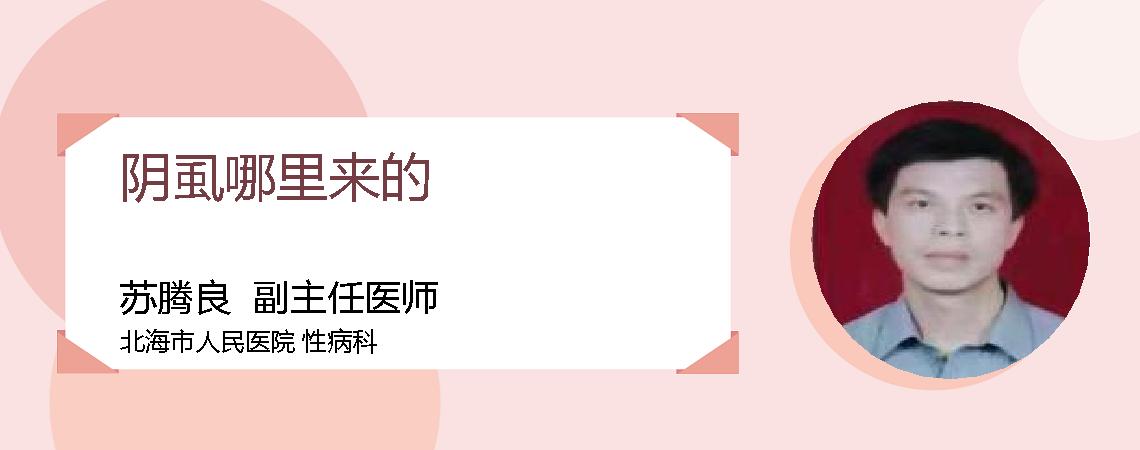 阴虱哪里来的