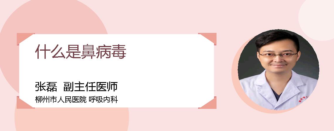 什么是鼻病毒