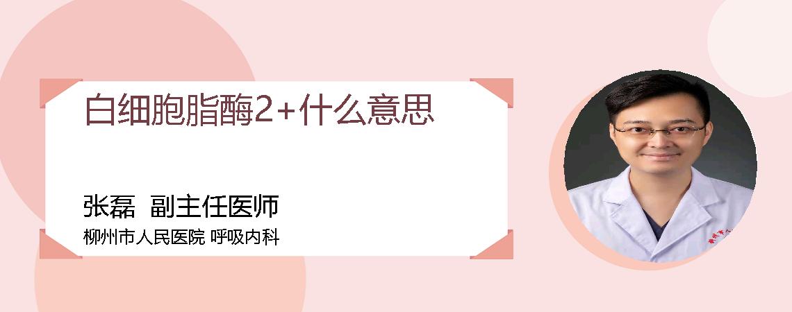 白细胞脂酶2+什么意思