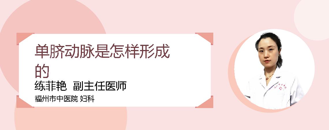 单脐动脉是怎样形成的
