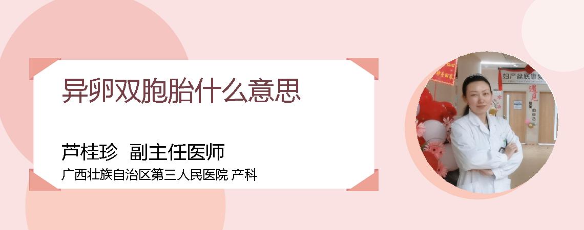 异卵双胞胎什么意思