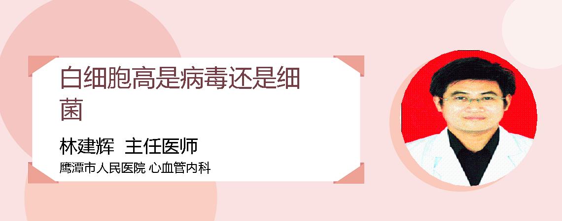 白细胞高是病毒还是细菌