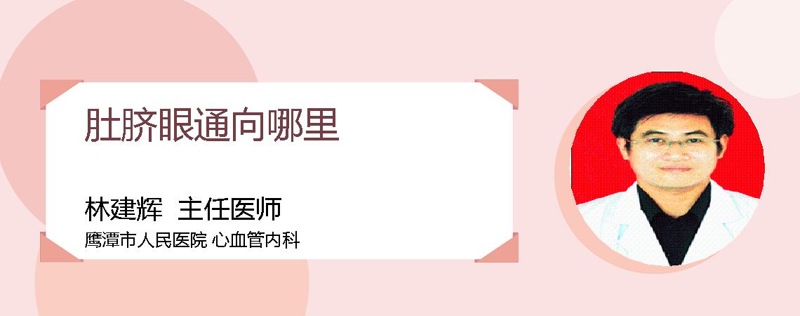 肚脐眼通向哪里