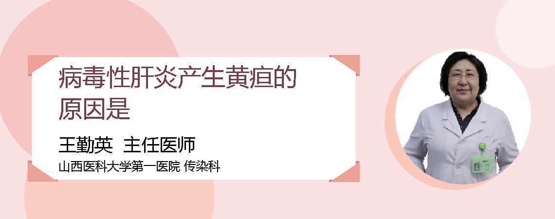 病毒性肝炎产生黄疸的原因是