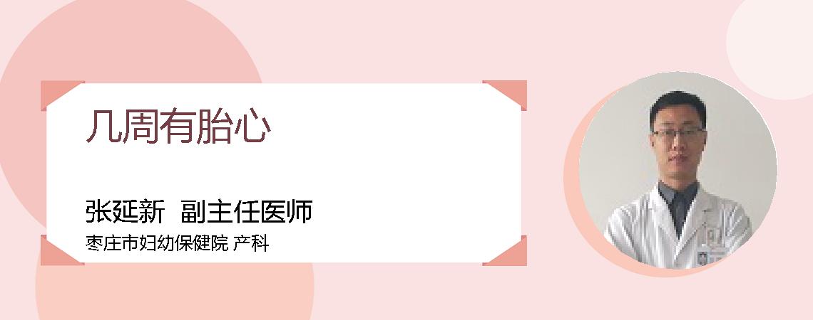几周有胎心