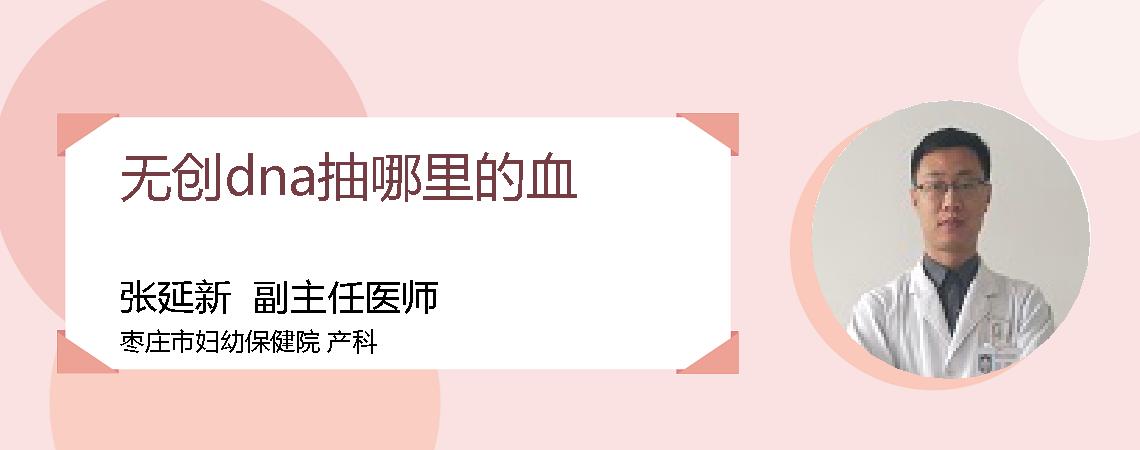 无创dna抽哪里的血