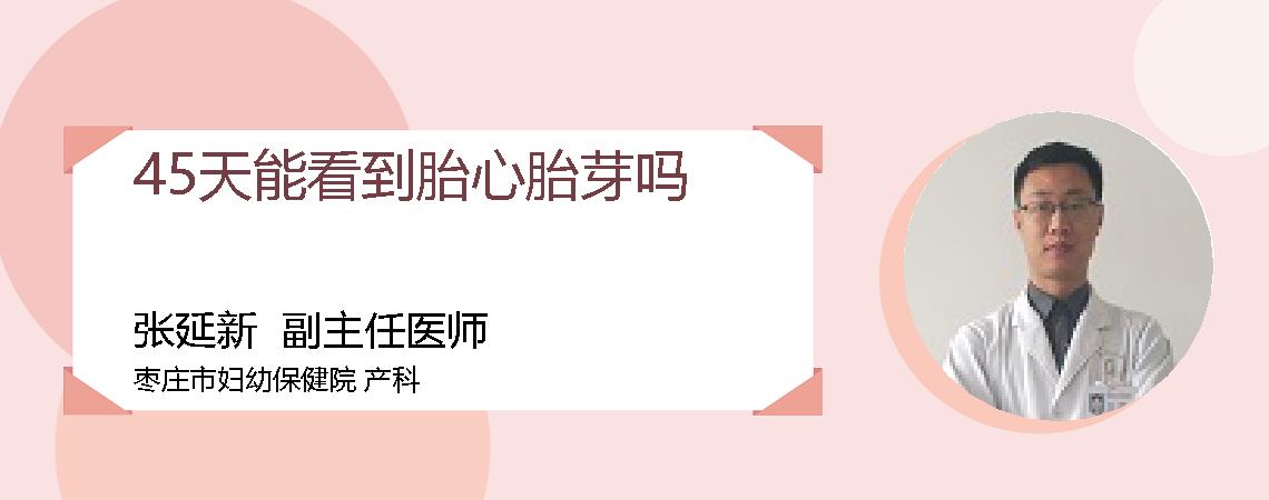 45天能看到胎心胎芽吗