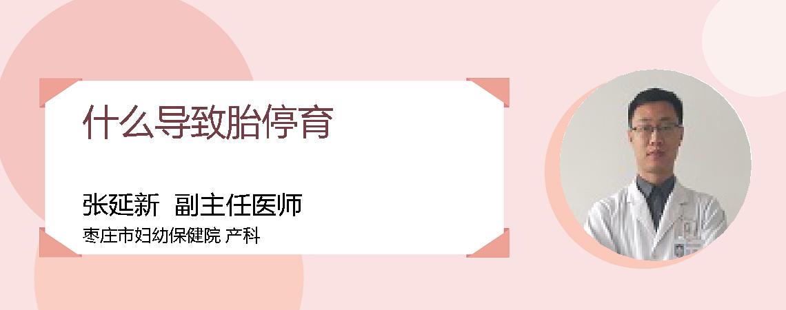 什么导致胎停育