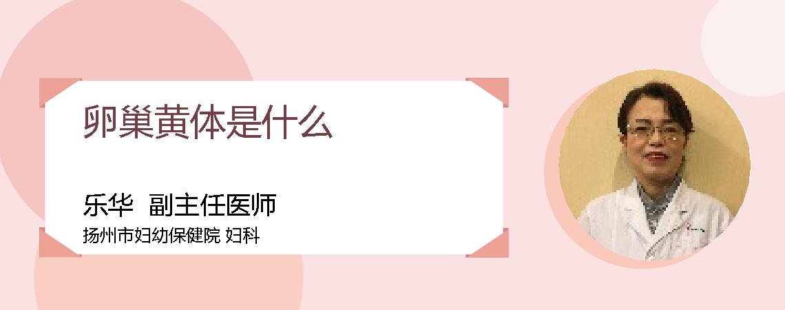 卵巢黄体是什么