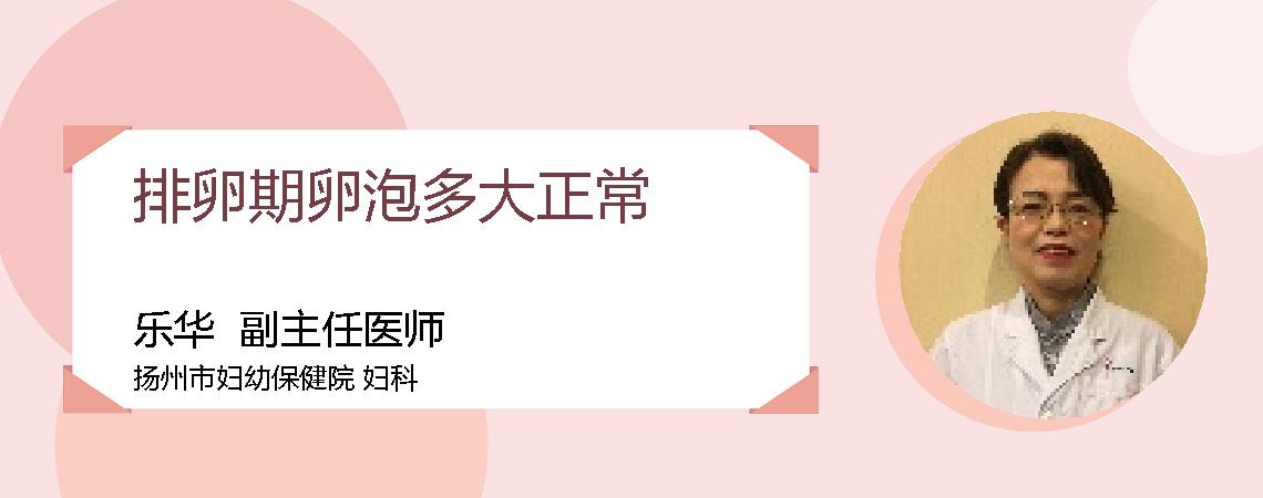 排卵期卵泡多大正常