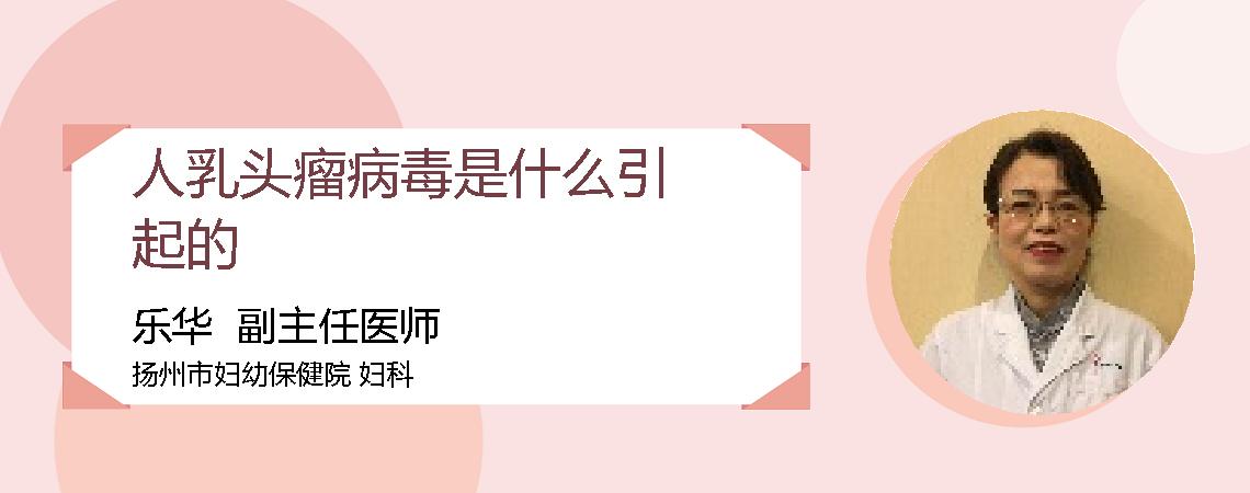 人乳头瘤病毒是什么引起的