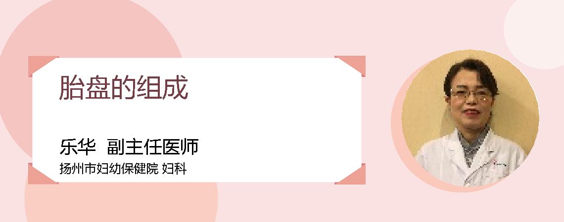 胎盘的组成