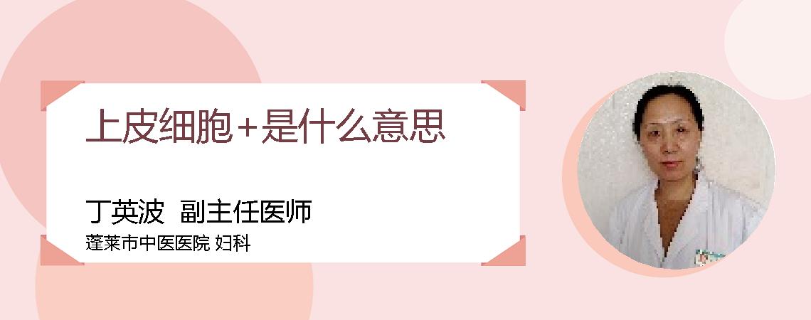 上皮细胞+是什么意思