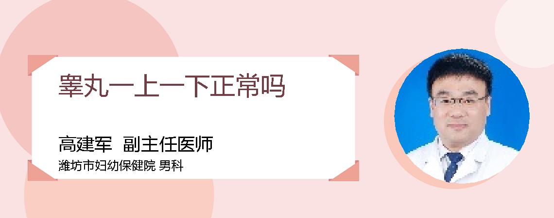 睾丸一上一下正常吗