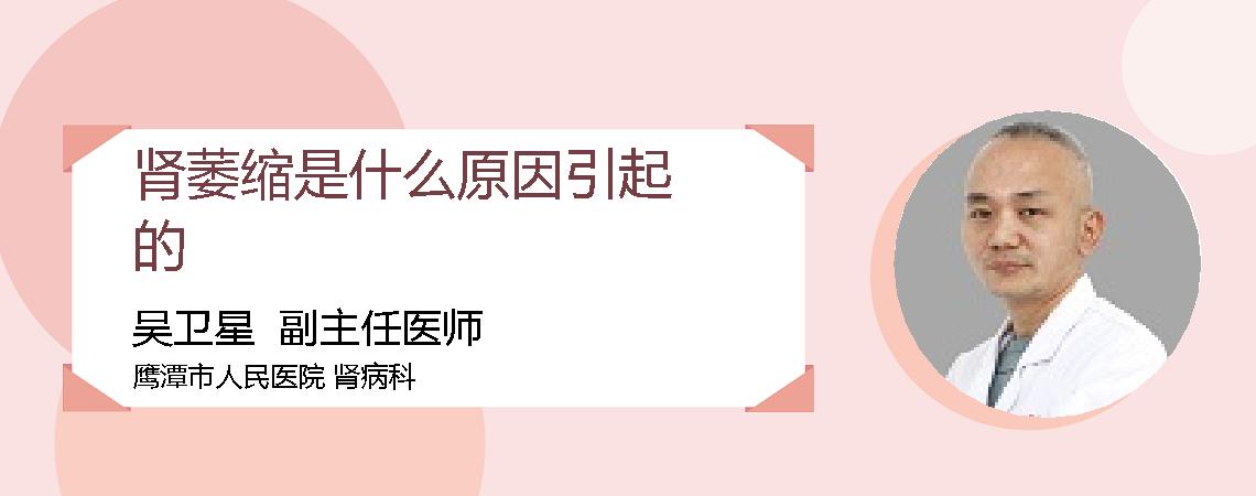肾萎缩是什么原因引起的