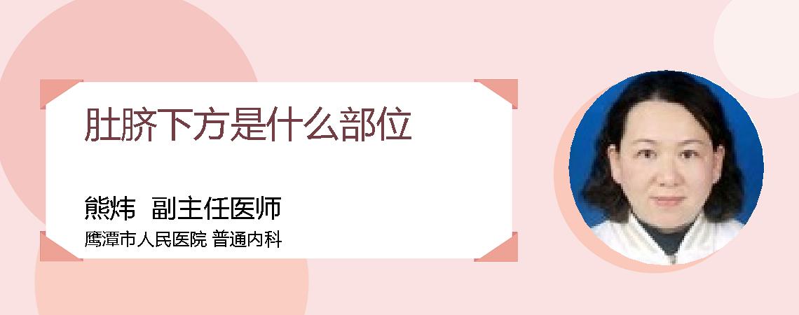 肚脐下方是什么部位