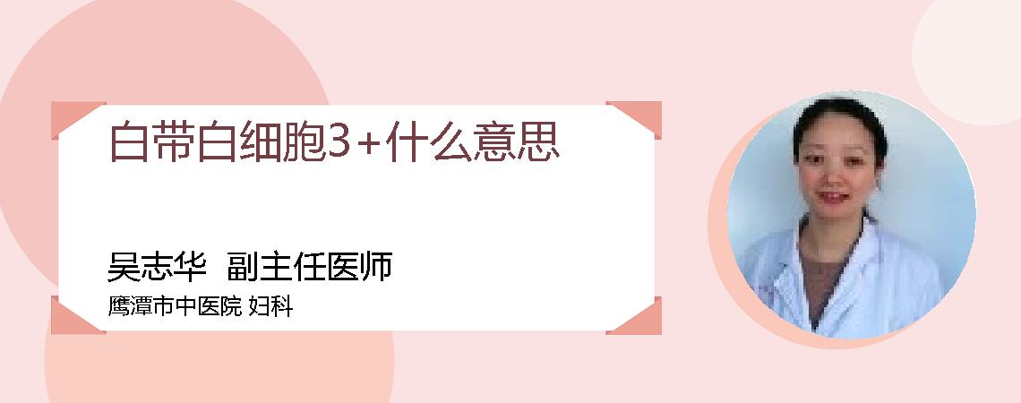 白带白细胞3+什么意思