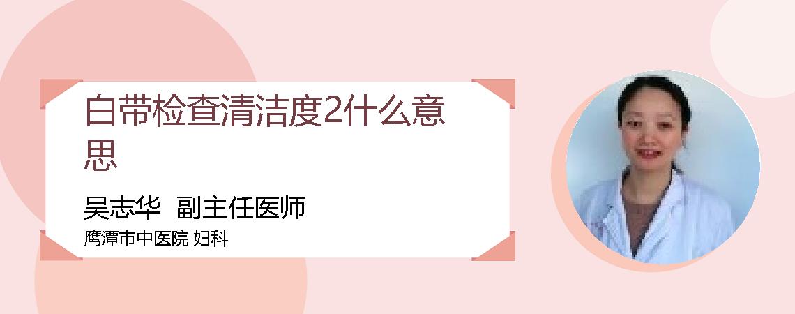 白带检查清洁度2什么意思