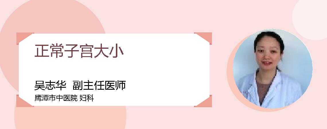 正常子宫大小