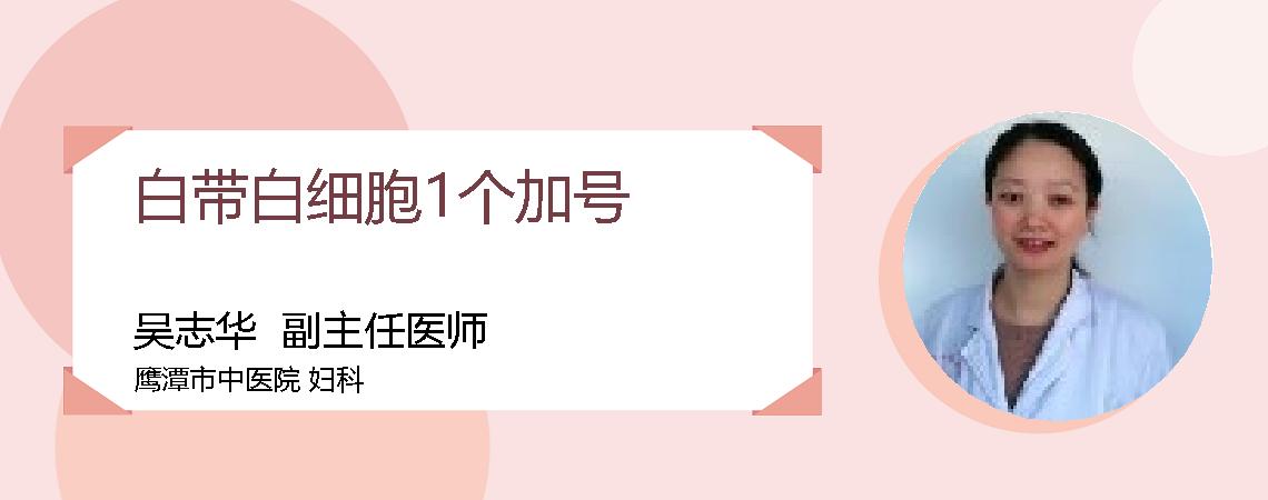 白带白细胞1个加号