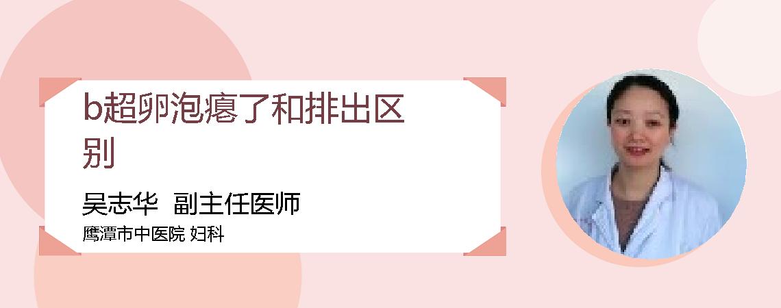 b超卵泡瘪了和排出区别