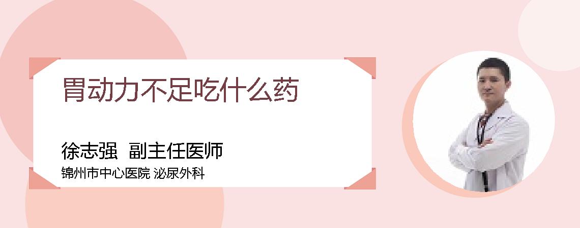 胃动力不足吃什么药