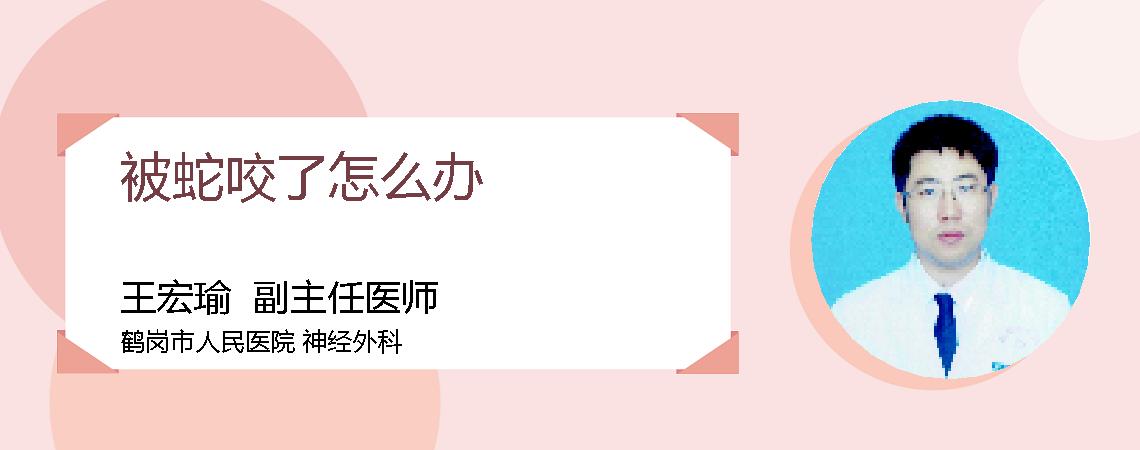 被蛇咬了怎么办