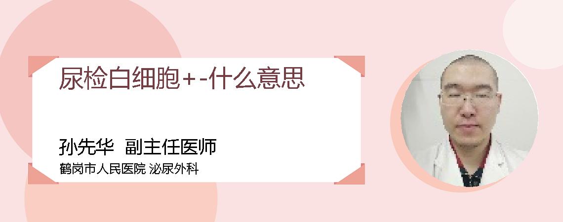 尿检白细胞+-什么意思