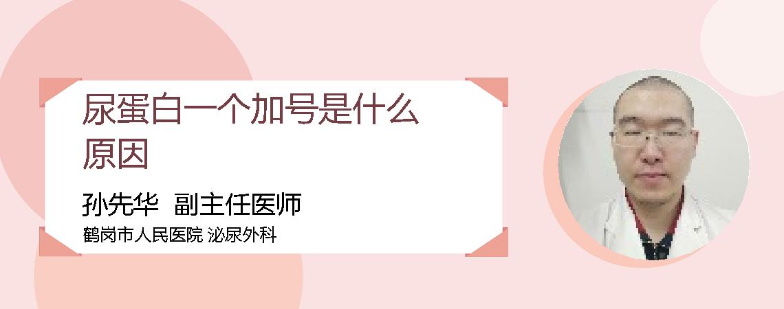 尿蛋白一个加号是什么原因