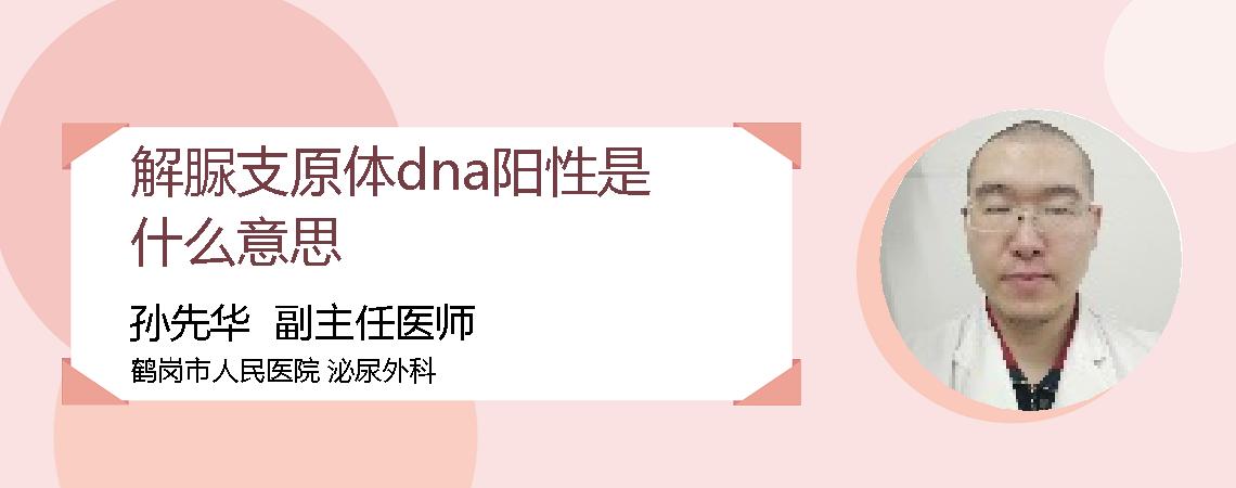 解脲支原体dna阳性是什么意思