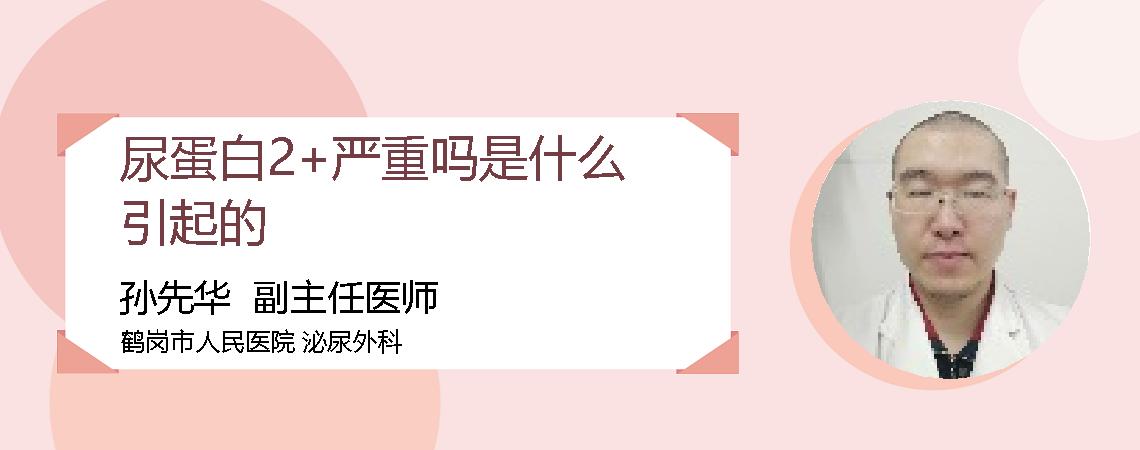 尿蛋白2+严重吗是什么引起的