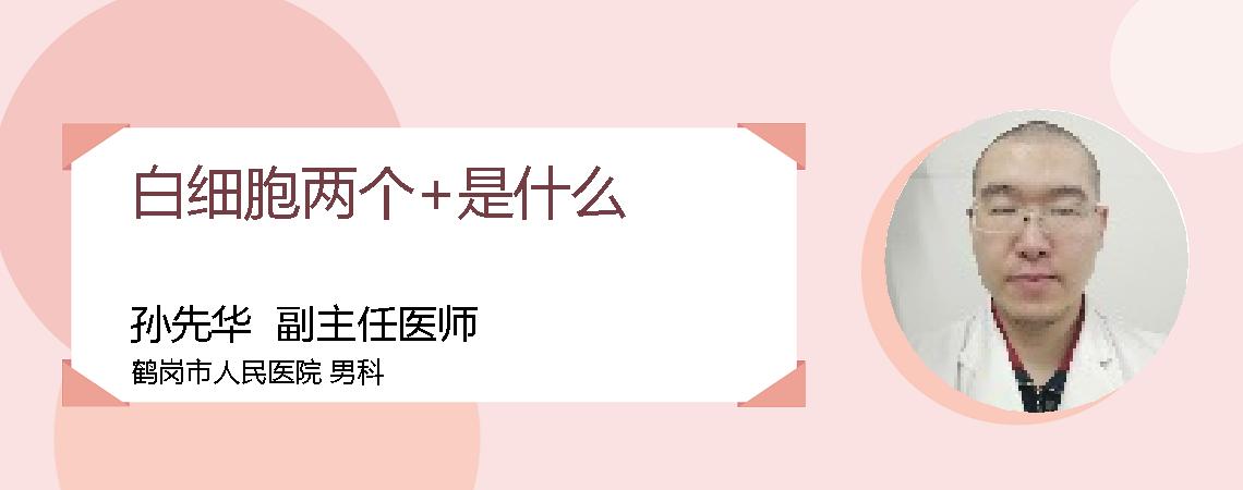 白细胞两个+是什么