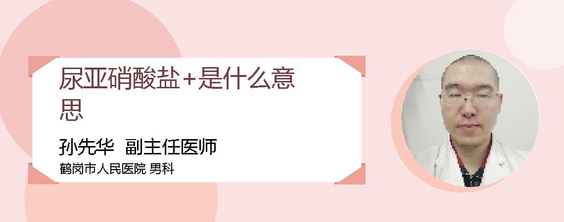 尿亚硝酸盐+是什么意思