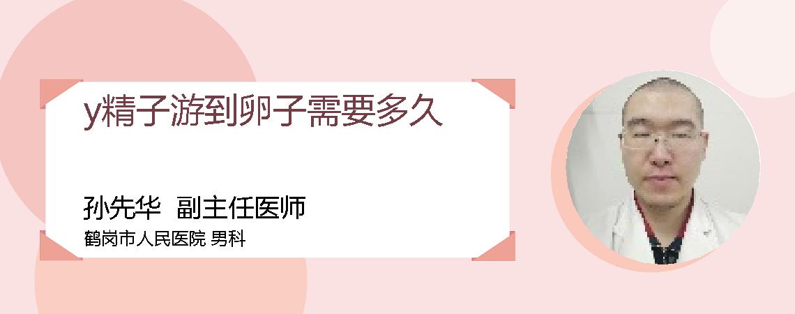 y精子游到卵子需要多久