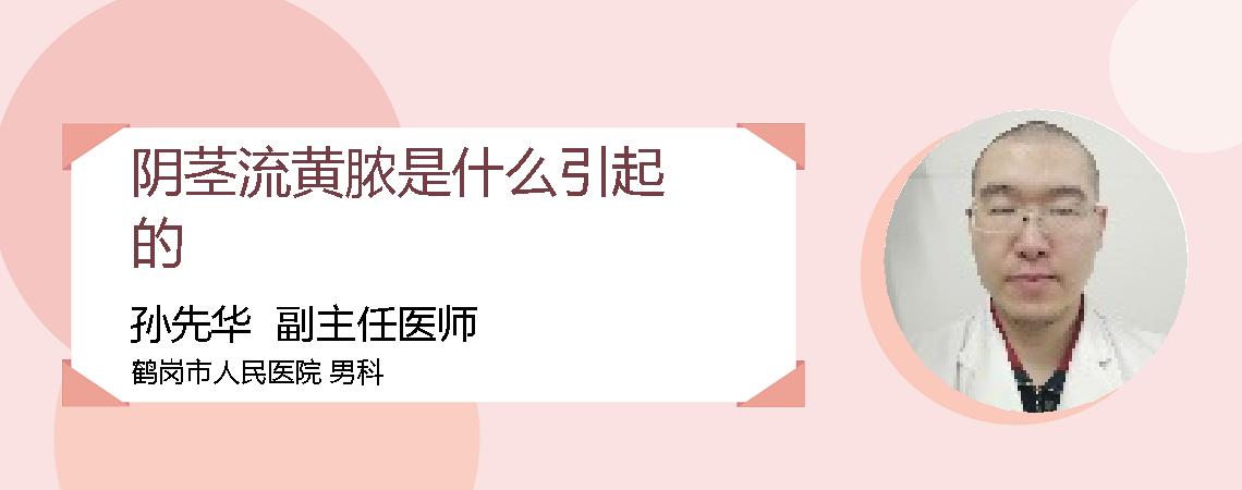 阴茎流黄脓是什么引起的