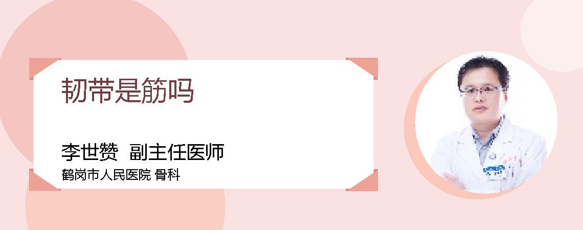 韧带是筋吗