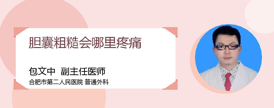 胆囊粗糙会哪里疼痛