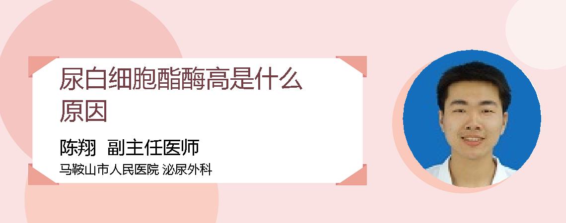 尿白细胞酯酶高是什么原因