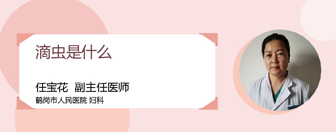 滴虫是什么